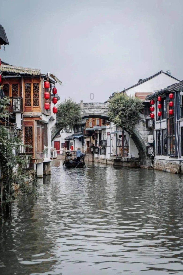 动物帮帮忙保卫家园